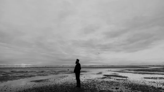 Man standing alone in a field